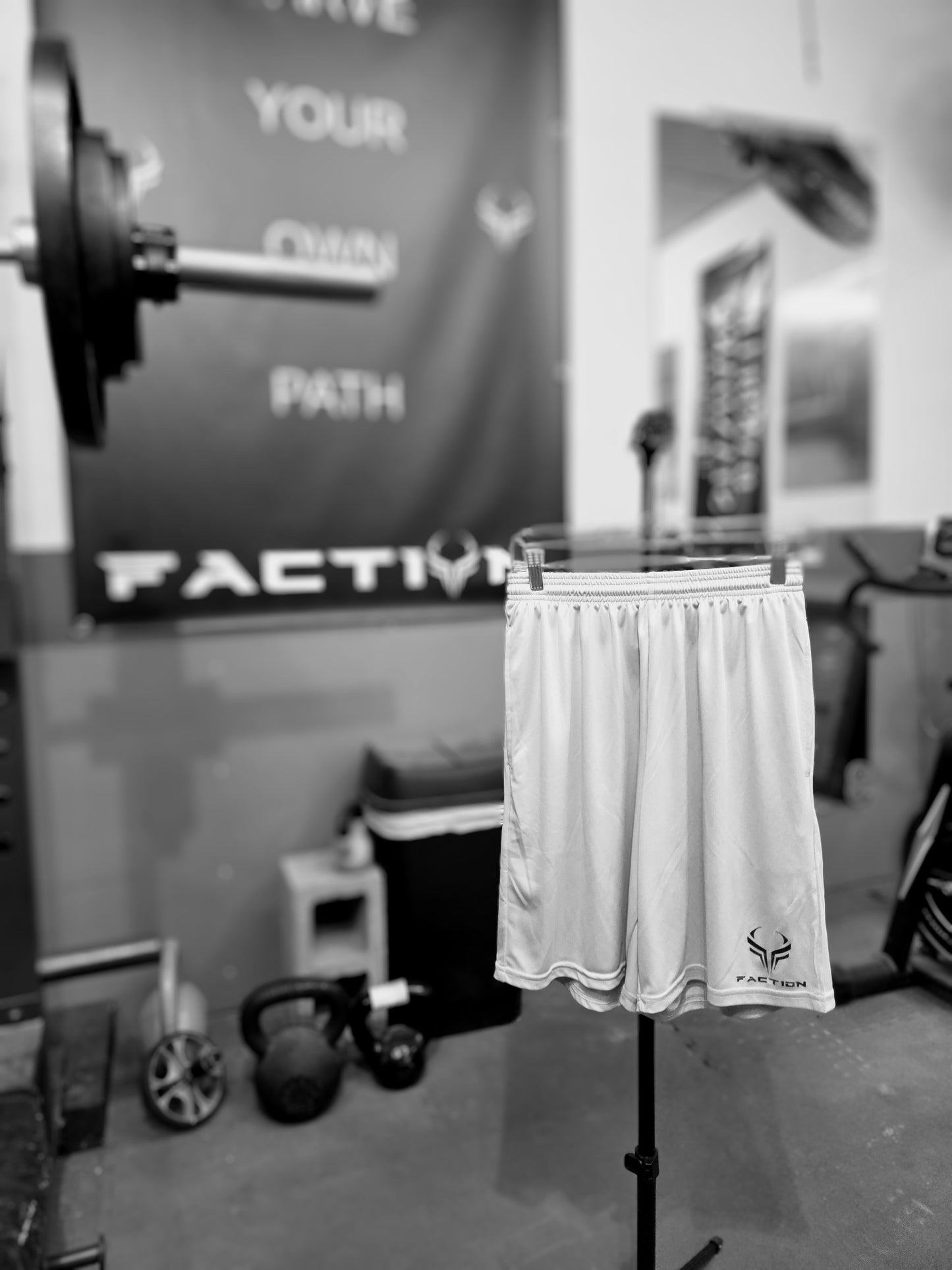Faction Logo Shorts