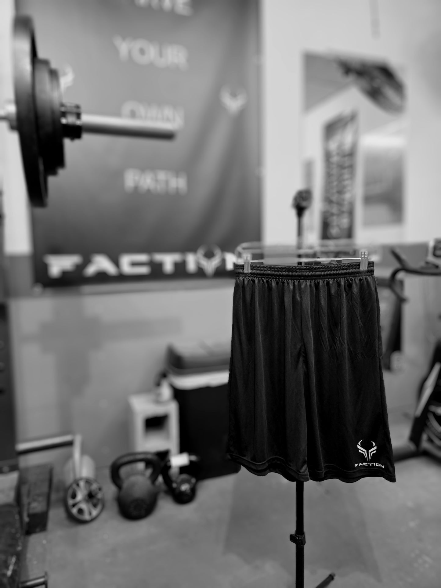 Faction Logo Shorts