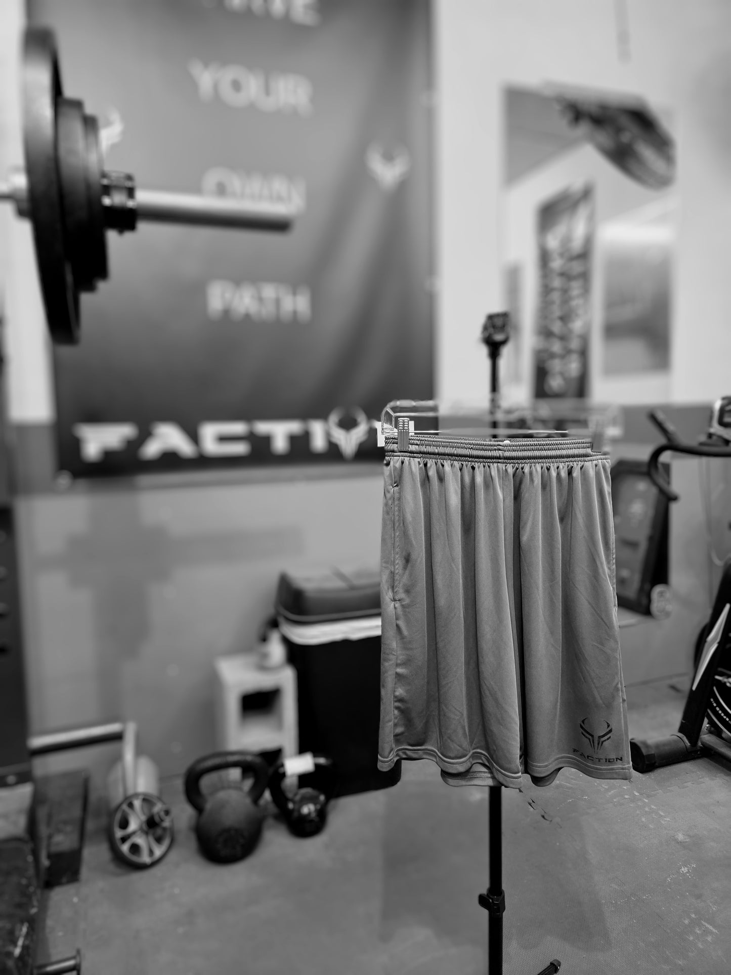 Faction Logo Shorts